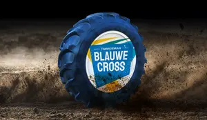 Blauwe Cross Blauwe Cross