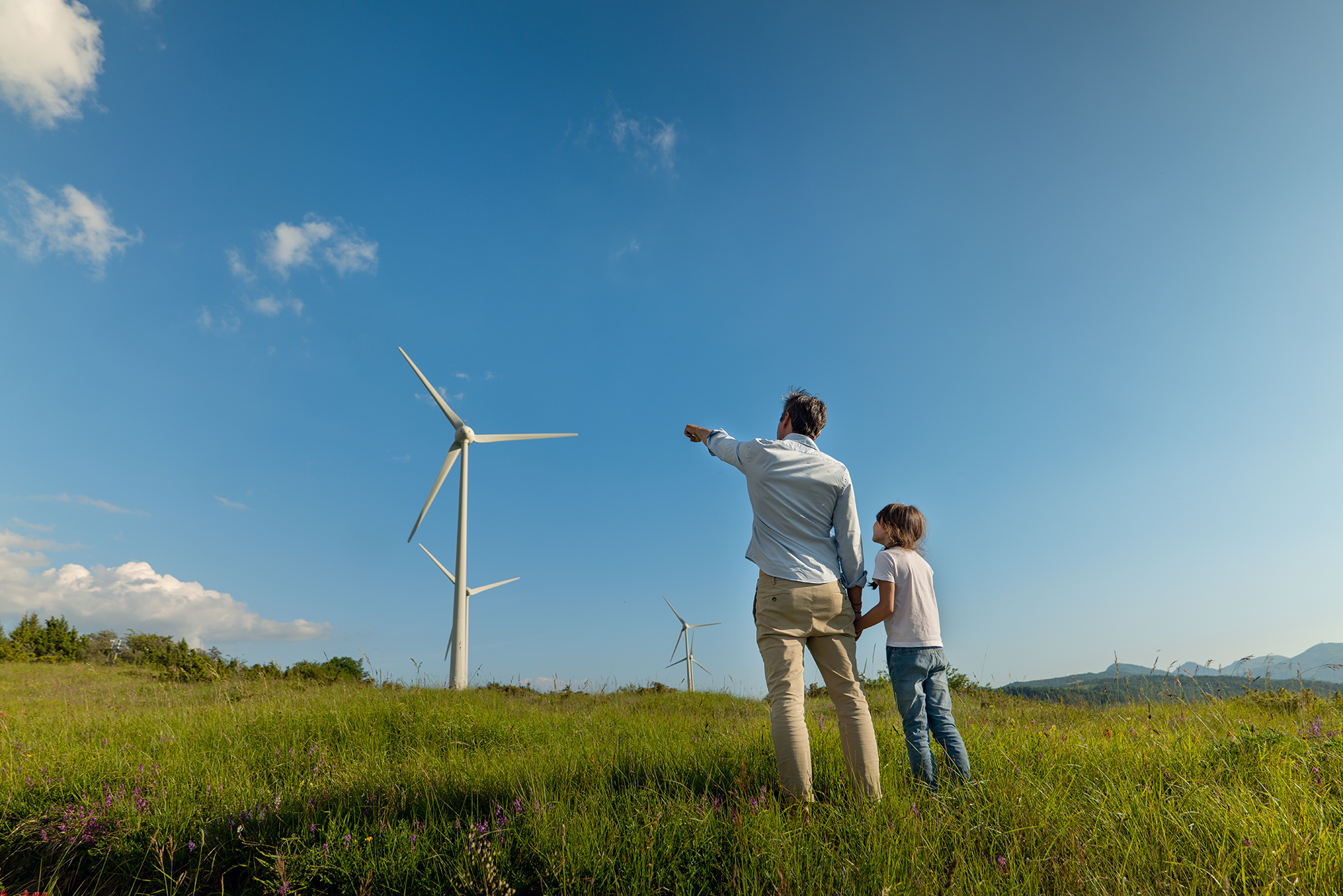 Flexibele huisstijl en merkidentiteit voor New Energy Coalition